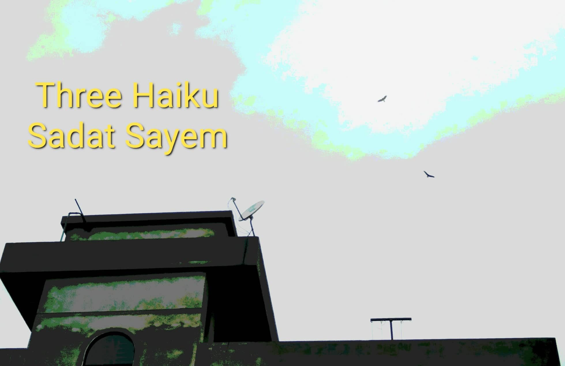 Haiku Sayem