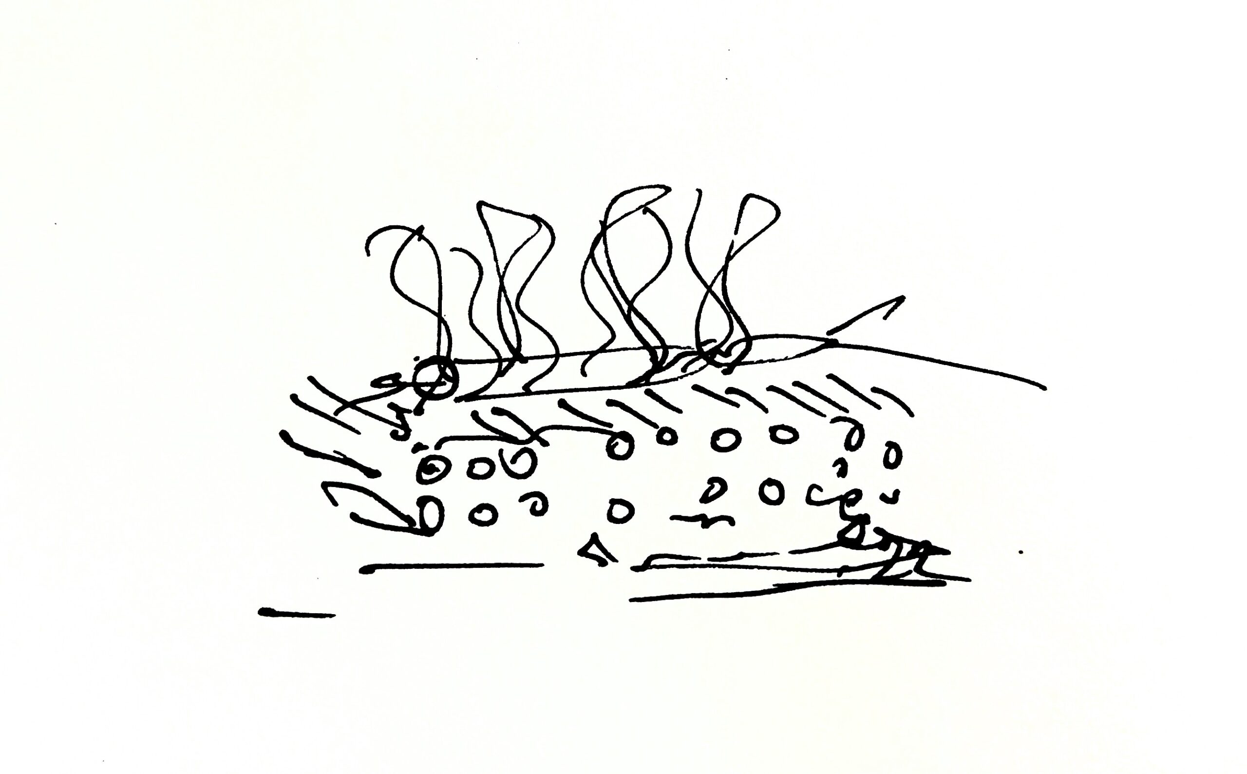 PXL_20220923_1619506942